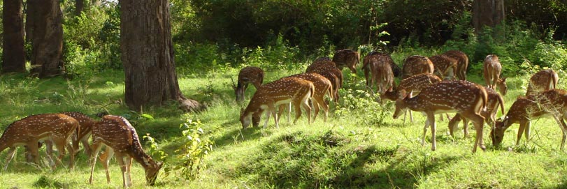 Wildlife Tour Jammu and Kashmir