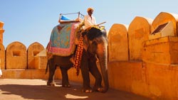 Tourist Attractions