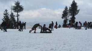 Kufri Tour